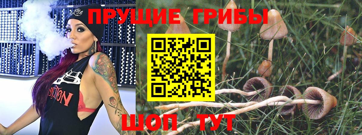 Галлюциногенные грибы MAGIC MUSHROOMS  Вход с VPN  Киреевск  Псилоцибиновые грибы Psilocybe 