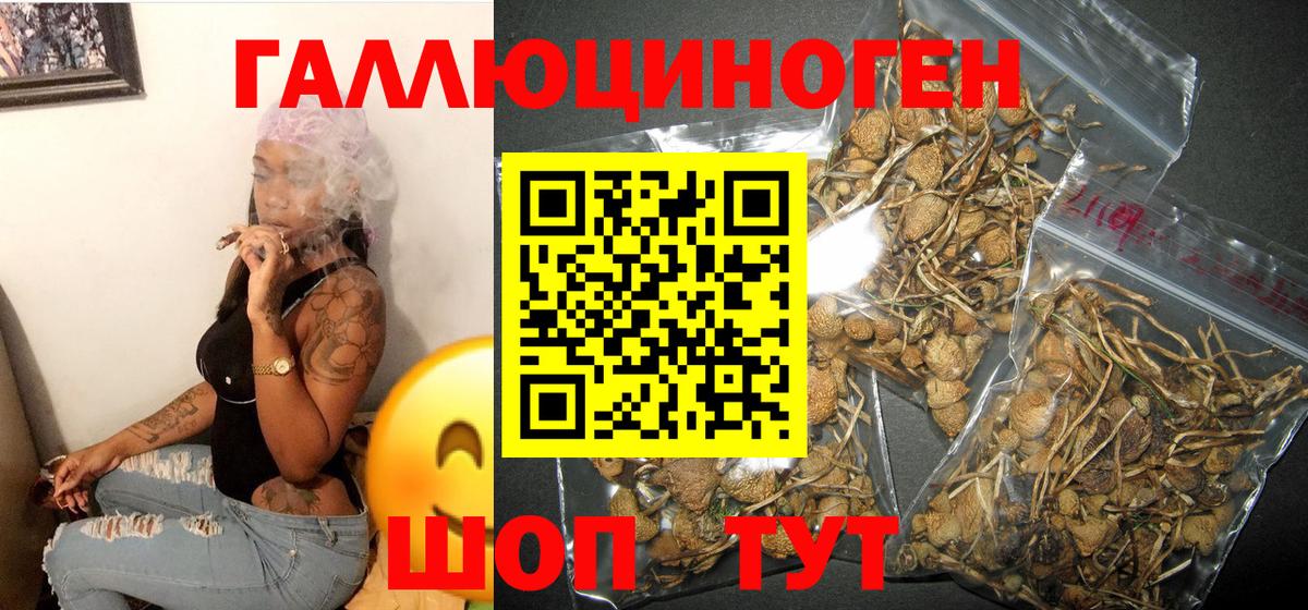 Галлюциногенные грибы мухоморы Киреевск